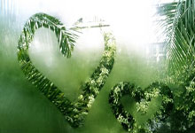 多特蒙德传奇队受邀参与年皇家马德里慈善赛.