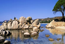 6686体育：北极公开赛： 杨佳敏轻取捷克选手 晋级16强.